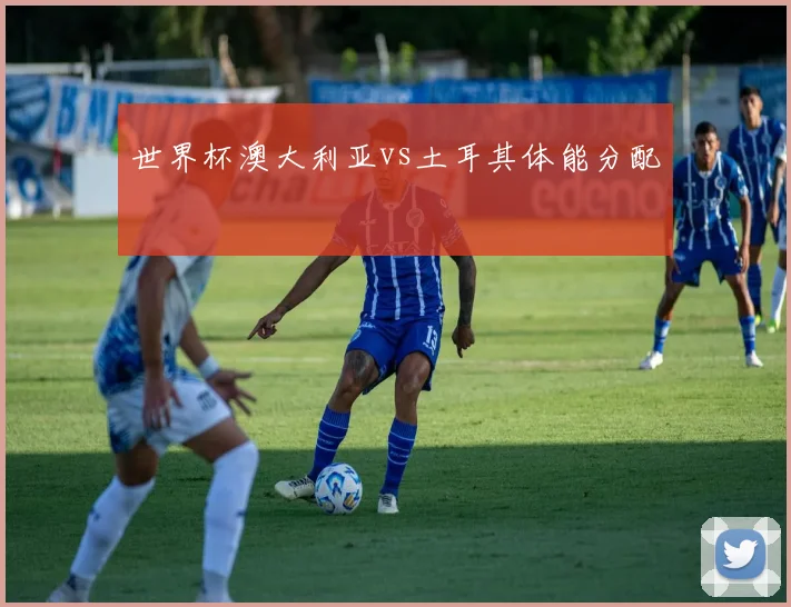 世界杯澳大利亚vs土耳其体能分配